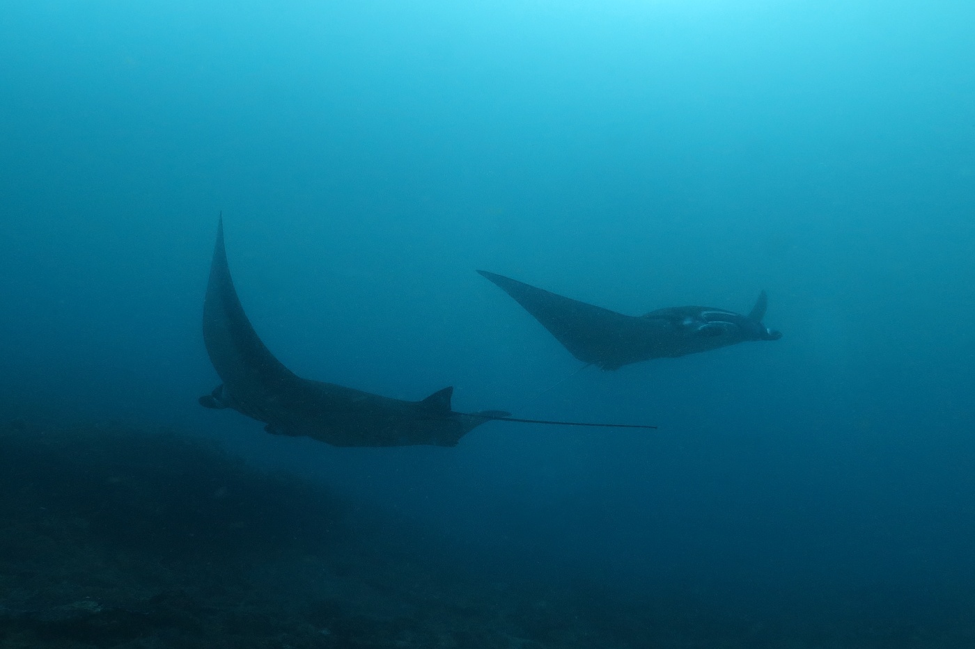 Nusa Penida, ponor s mantami