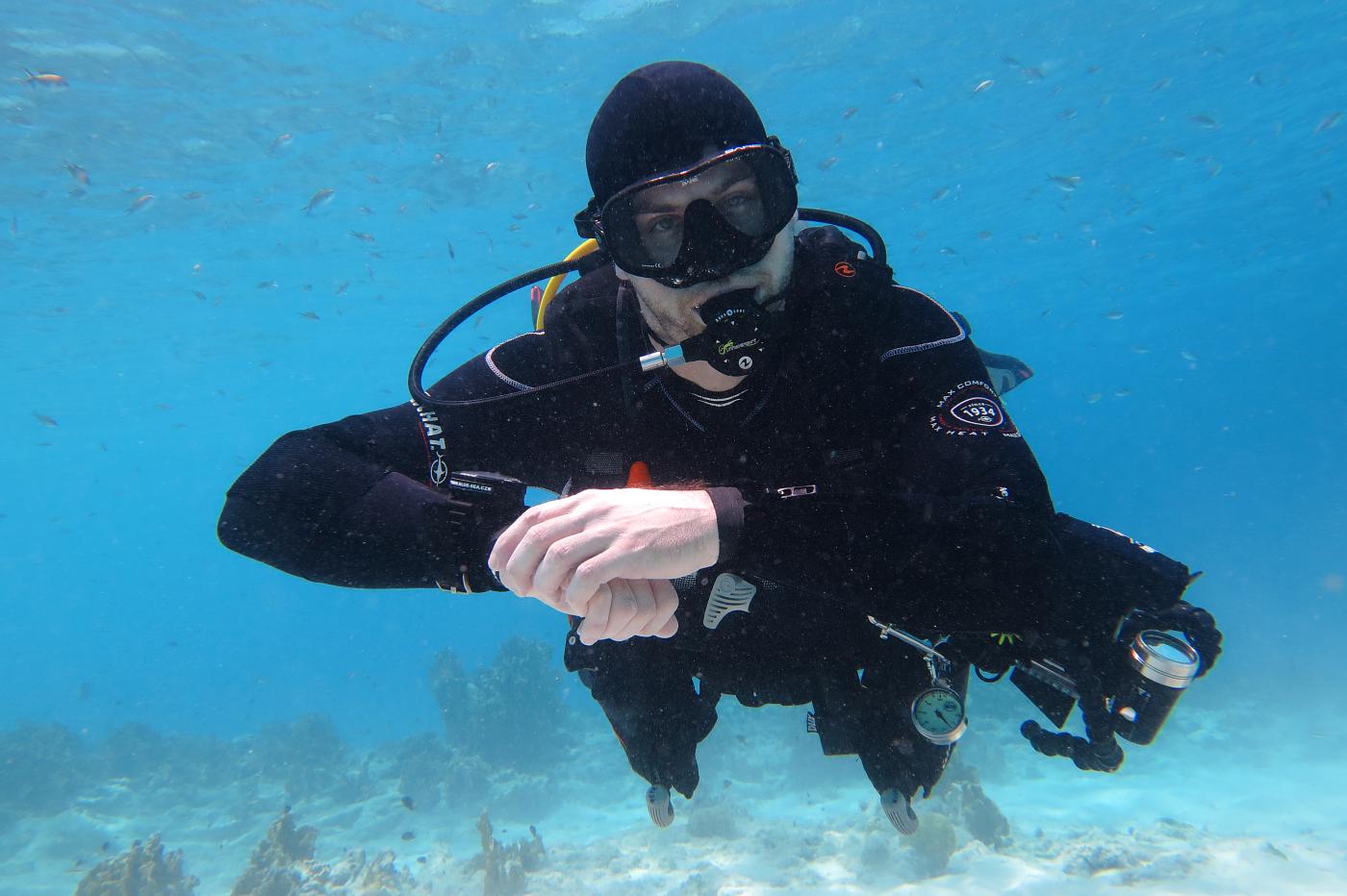 Potápěč pod hladinou, Bonaire