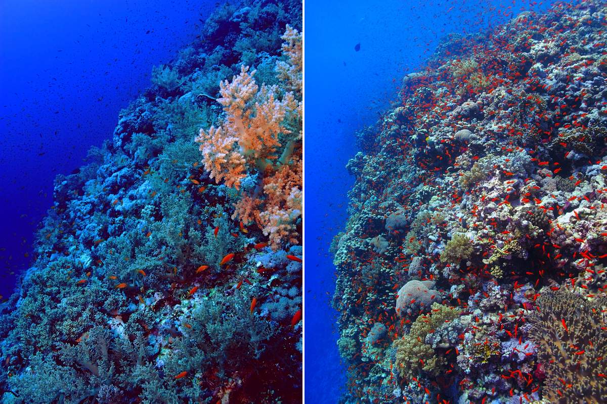 On the left a reef in the deep, on the right reef in shallow water.