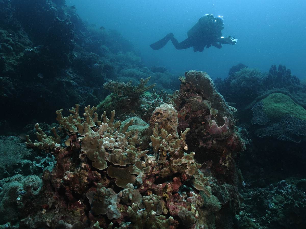 Katka s fotoaparátem nad korálovým útesem v kalné vodě.