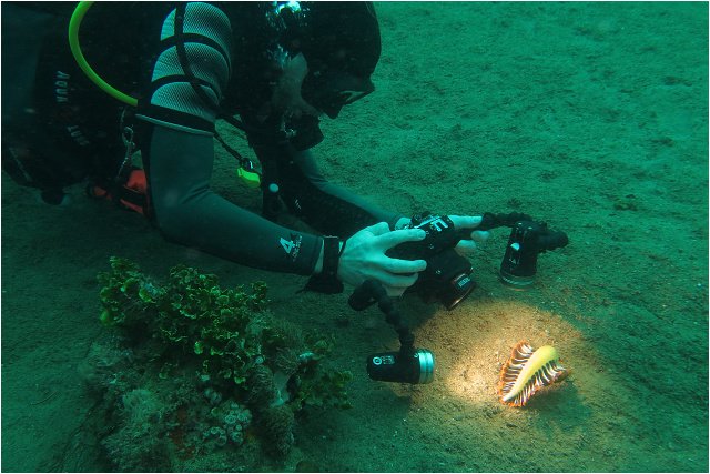 Ukázka fotografování pod vodou se Sola světly.