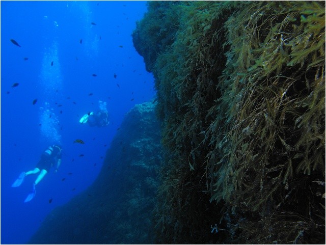 Stěna a skály v moři po vyplavání z Blue Hole. V hloubce je díky vlnám málo světla