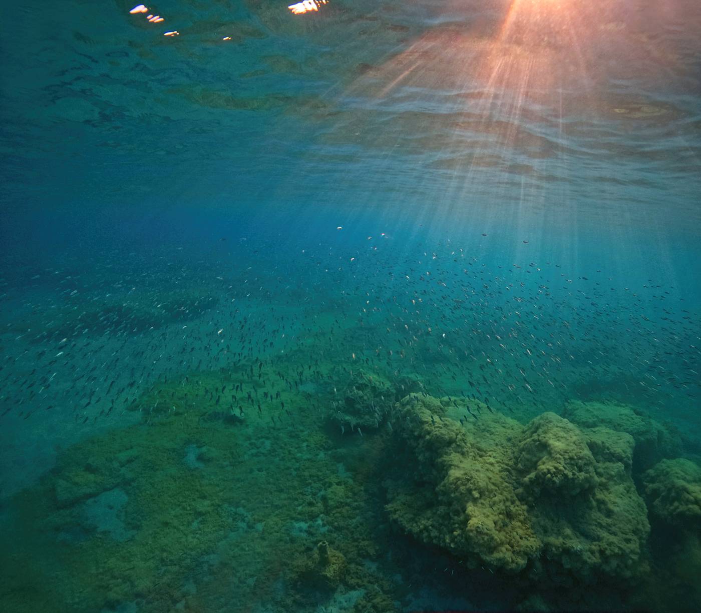 Kypr šnorchlování, hejno malých rybek a sluneční paprsky, GoPro 12