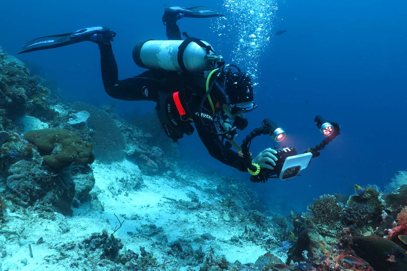 Katka fotografuje murénu hlouběji na útesu, při vznášení volně ve vodě bez dotyku s korálem. Snímek bez úpravy.
