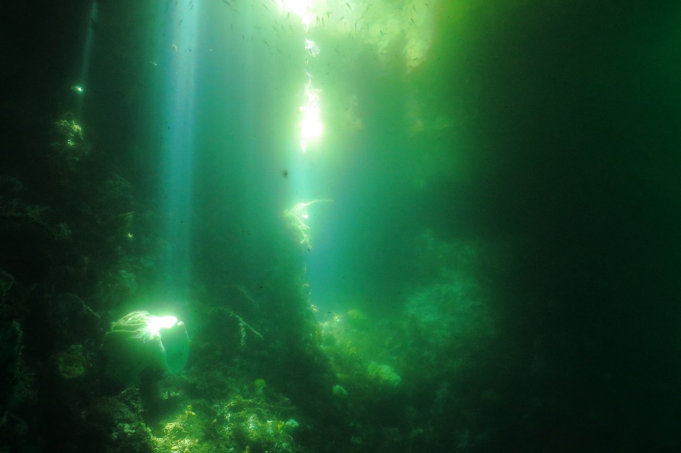Podvodní krajina na lokalitě Passage kousek od vstupu do malé jeskyně, slunce a spousta ryb ve vodě.