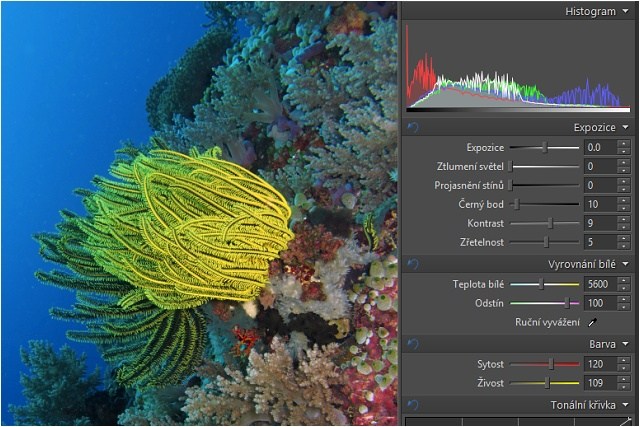Ukázka posunu barev v programu Zoner, podvodní fotografie