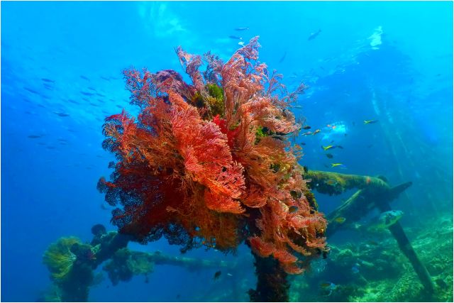 Ukázka míchání umělého a přirozeného světla, 2x Sola světlo 2500. Raja Ampat, Indonésie.